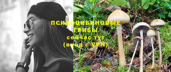 прущая мука Бугульма