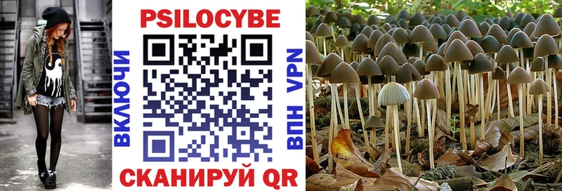 Купить  Асино  Псилоцибиновые грибы мухоморы 